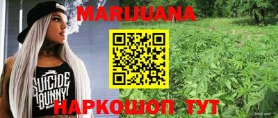 стаф Кандалакша