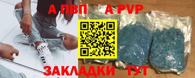 стаф Кандалакша