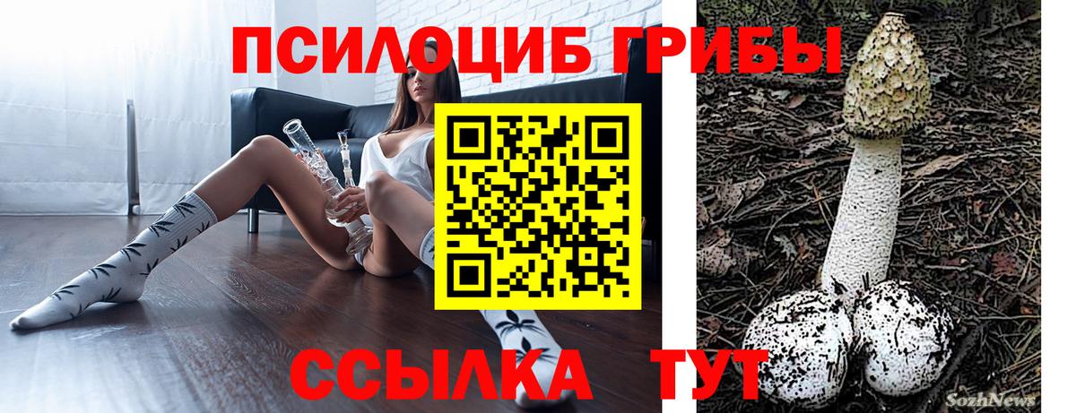 Курчалой  Псилоцибиновые грибы GOLDEN TEACHER  Вход с VPN 